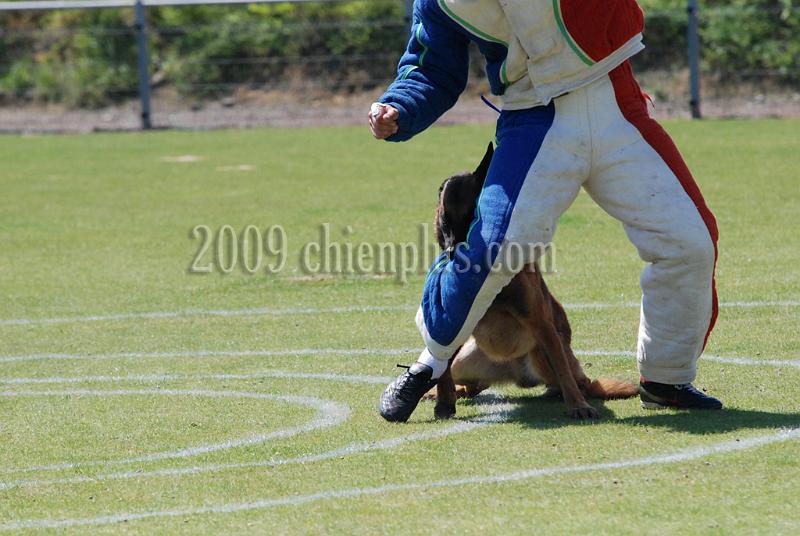3 EME SELECTIF 2009 GRANDE SYNTHE 138.jpg